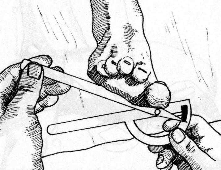 Pronation Plantarflexion +
