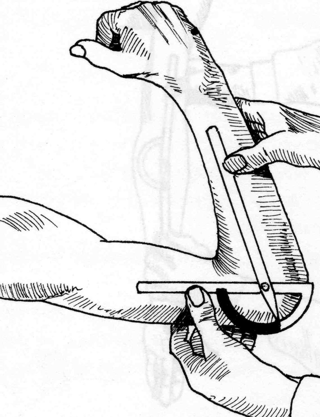 Ulnaris Bicepssenan ( galggreppet )