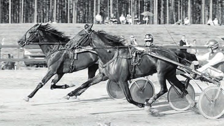 Entré inkl. programblad 40:- Drive-in 20:- BYGDETRAV Fredag 9 augusti Första start kl. 17.