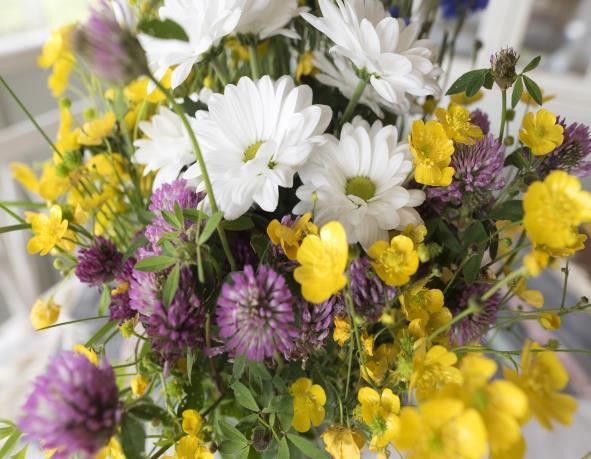 00, Hedesunda kyrka MIDSOMMARLUNCH Vi sjunger sommarens sånger pris: 50:- ons 19 juni kl. 11.