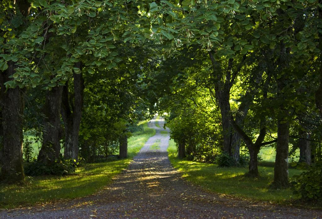 Friluftsgudstjänster söndag 23 juni Friluftsgudstjänst vid Gamla prästgården i Hedesunda. Medtag stol och kaffekorg.