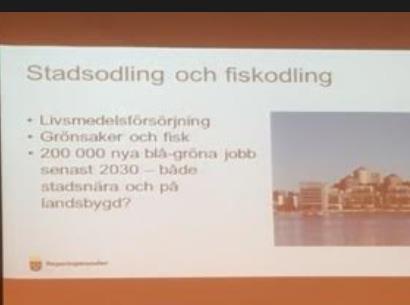 ideell förening