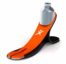 XTEND FOOT H100 Figur 1: Foten och dess olika delar D En komplett fot består av tre huvuddelar: 1) Fiberkompositfot: A) Vristlaminat B) Hällaminat C) Bottenlaminat D) Pyramid 2) Fotkosmetik 3)