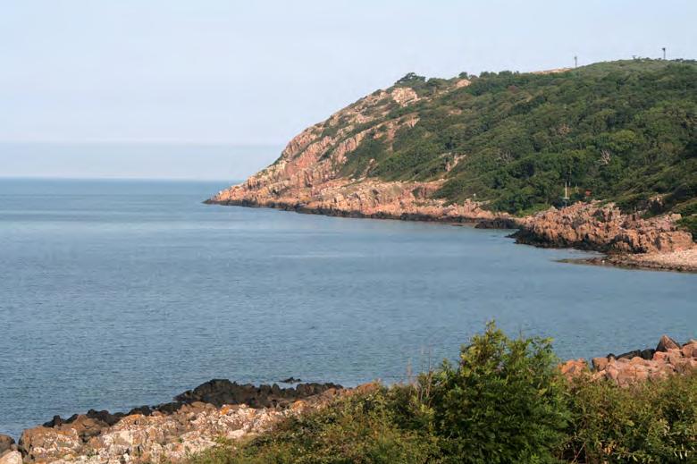 Den sol- och vindexponerade sydsidan vid Ransvik. Foto: Alf Petersson. för minimum- och maximumantalet par i varje delområde. Värdena för samtliga områden summerades därefter.