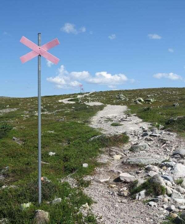 Fira de små