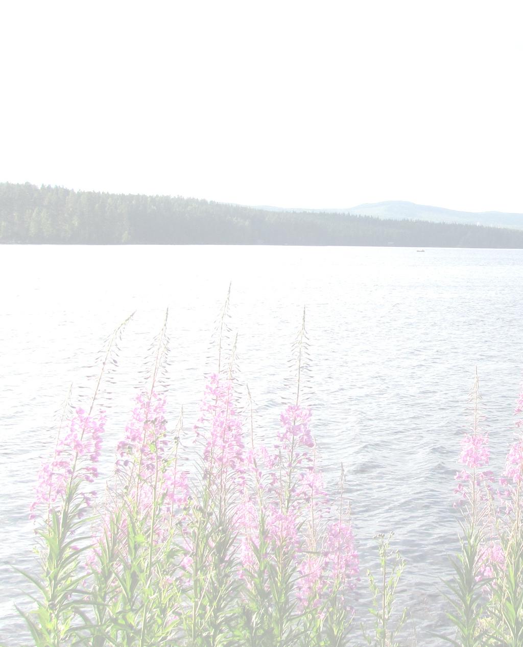 JUNI Mötestillfällen Juni - Juli Söndag 4 juni kl. 11.00 i Högbergskyrkan Tillsammansgudstjänst. Helena Facchini. Sång av Maja Eriksson. Ungdomar medverkar. Lördag 10 juni kl. 19.