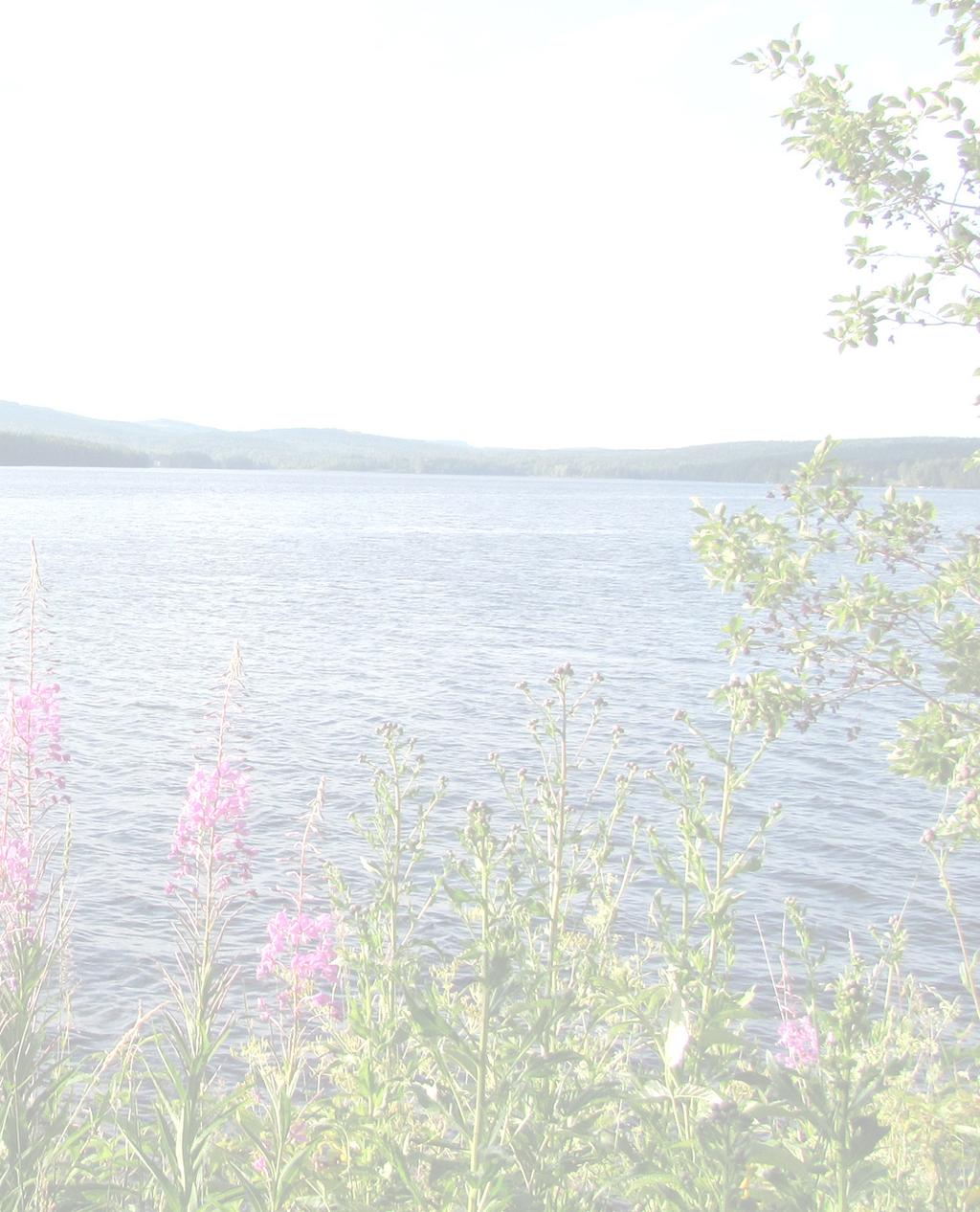 Mötestillfällen Juli - Aug Lördag 8 juli kl. 19.00 Sommarkväll på Harnäsgården. De kristna i det Heliga Landet Gunnel o Ulf Schöier, Örebro, berättar o visar bilder om sitt arbete i Jerusalem.
