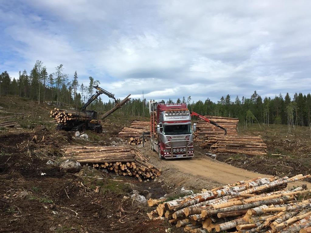 Juni 2018: Full fart vid avverkning i