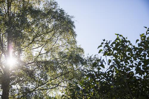 Neuropsykiatriska funktionsnedsättningar Du som är anhörig till barn/ungdom med neuropsykiatrisk funktionsnedsättning är välkommen att anmäla dig till denna samtalsgrupp.