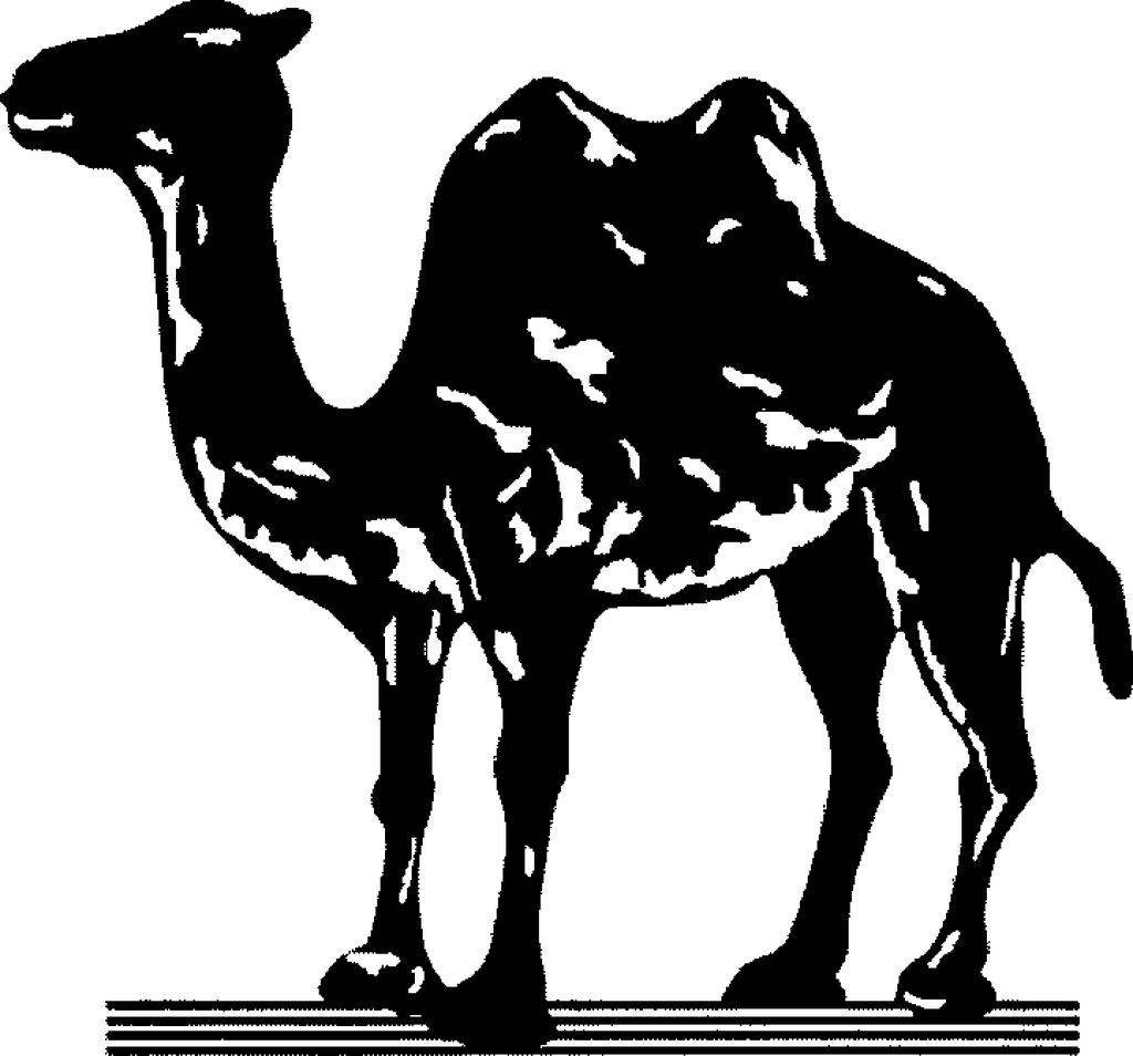 1438301 Designerad: 2018-09-07 253/39 Publicerad: Figurklass: 03.02.13. Beskrivning The mark is a graphic design of camel and has no meaning. : Beijing Camel Footwear Co., Ltd, 108 Building 2, No.