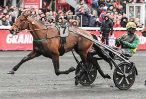 FACE TIME BOURBON Brun hingst f. 3 april 2015 111 1.10,3am 66 st: 40-8-3 1.12,7ak 28 st: 4 1 2 Meriter Vinnare Avgift 2019 i Frankrike: 5.000+15.