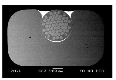 63 mm Ratio of Cu and no Cu : 14 Critical current Ic : 813 @4.2 K & 1.6 T Critical temperature Tcs : 7K Operating temperature Top : 4.