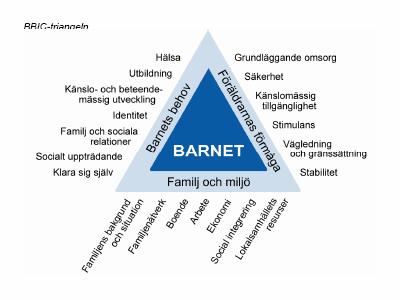 SID 3 (7) Genom att vid återkommande tillfällen bedöma barnets förhållanden i de ovan fastställda behovsområdena, såsom vid de överväganden respektive omprövningar som ska göras minst var sjätte