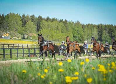 Elitlopps- SPECIAL Nummer 21 22-23 maj 2019 Pris 39 kr SÅ HAR NI ALDRIG SETT BAZIRE SKA DU KÖPA