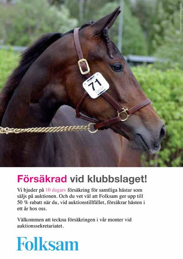 50% rabatt Häst som köpts på auktionen har automatiskt en gällande försäkring i ett dygn från klubbslaget.