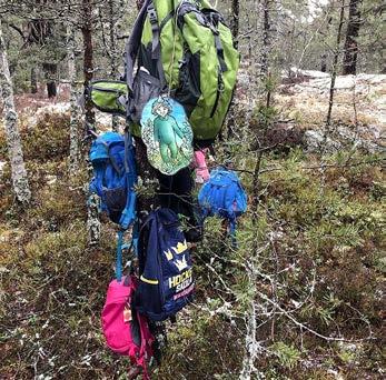 Trollstigens förskola Förskolan består av tre enheter. Den ena enheten ligger på Mosshagestigen 213, den andra på Timmermansstigen 102 och den tredje på Tjäderstigen 4.
