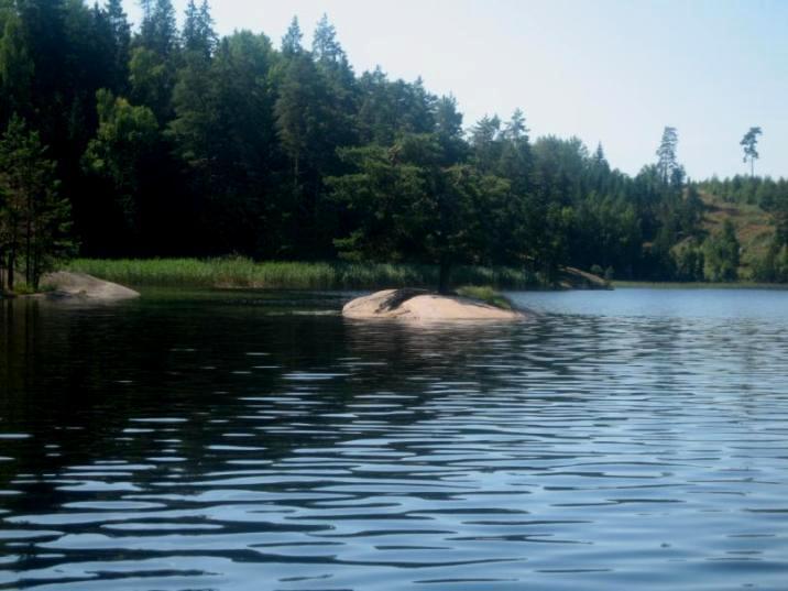 Kärrafjärden Kärrafjärden har inte inventerats tidigare med avseende på makrofyter. Delområdet tillhör en egen vattenförekomst och ligger i norra delen av Vättern i Askersunds kommun, Örebro län.