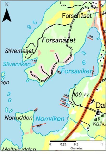 Norrviken bör behållas som miljöövervakningslokal för den relativt jämna förekomstfrekvensen av ett flertal arter samt den rikliga förekomsten av typarter för de mer näringsfattiga N2000-habitaten