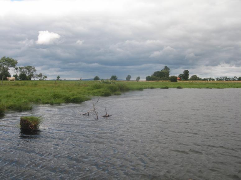 Vadstenaviken Vadstenaviken ligger i nordöstra delen av Vättern i Vadstena kommun,östergötlands län.