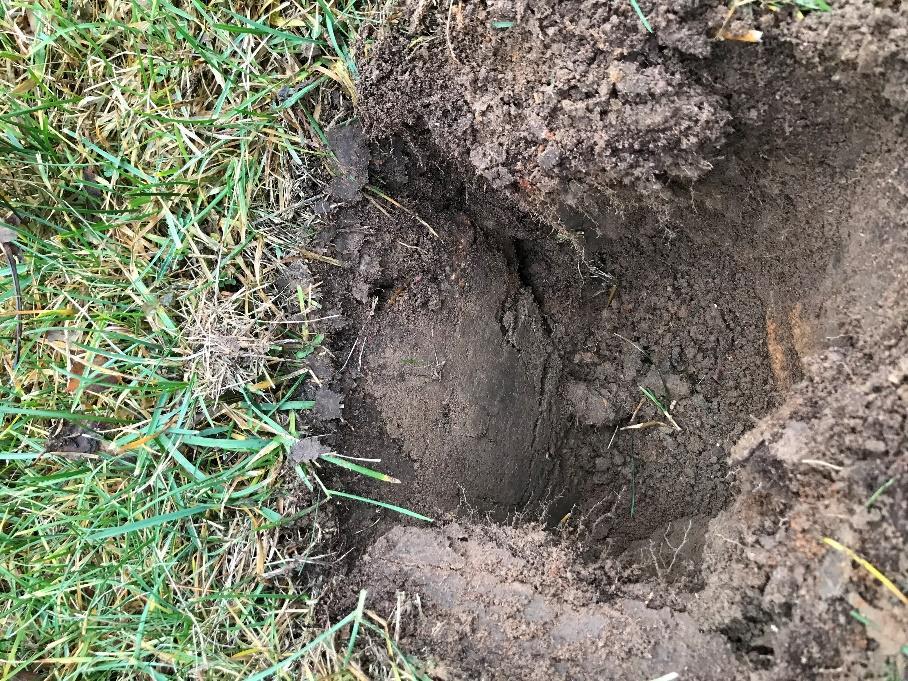 Längst ned i profilen hittas älvsediment, grovsiltfinsand Bild Nr.