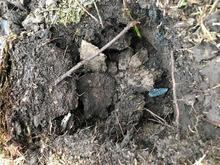 7 Datum: 2018-11- 15 Selja-Långlets friskola MS-L_04 Ca 10-15 cm mull ovanpå blekjord.