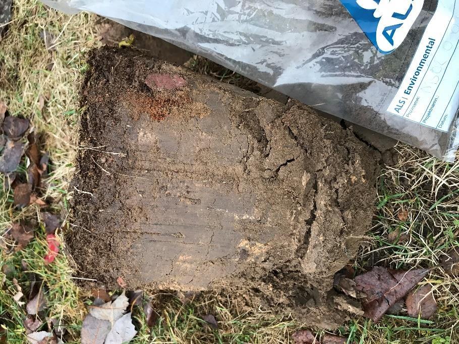 1 Datum: 2018-11- 15 Selja-Långlets friskola MS-L_02 Siltig sand med organiskt material.