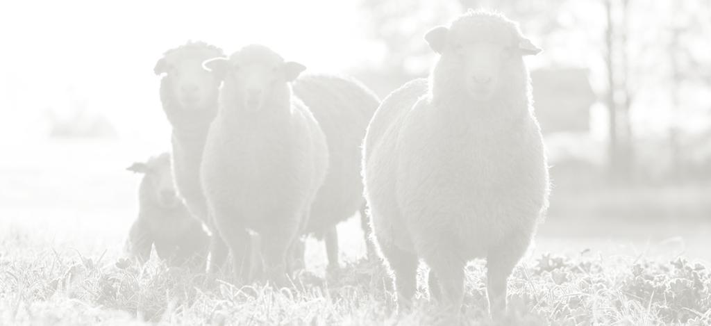 Dorset. Välkommen som medlem!