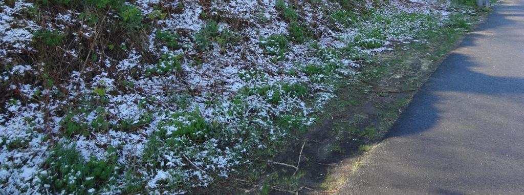 Ur grundläggningssynpunkt kan grundläggning på berg ske fram till 3 m från släntkrön i nuvarande bergslänt.