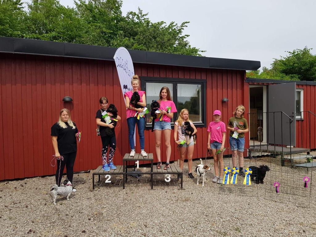 Alla resultat och bilder finns på klubbens hemsida. Den 4-7 oktober arrangeras agility-vm för första gången någonsin i Sverige.