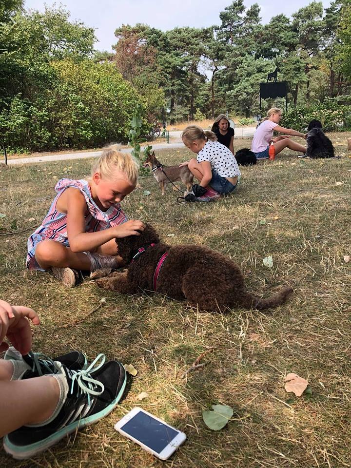 I slutet av sommaren anordnade klubben sommarlovsaktiviteter där deltagarna fick testa på olika grenar inom hundsporten.