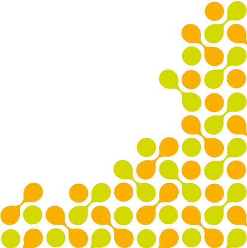 RAPPORT TRAFIKUTREDNING DP