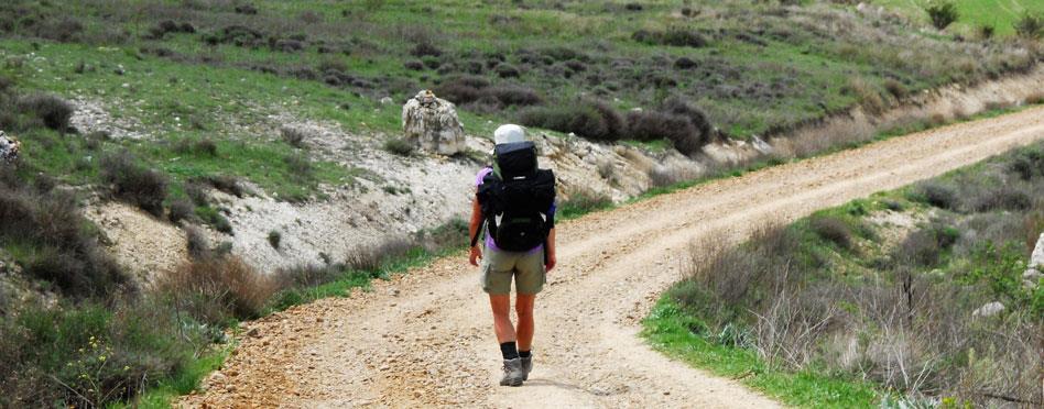 Camino Francés, O Cebreiro Santiago de Compostela, 10 nätter 1(7) Vandra i Spanien Camino Francés, 10 nätter O Cebreiro Santiago de Compostela, 7 vandringsdagar Den mest kända av pilgrimslederna