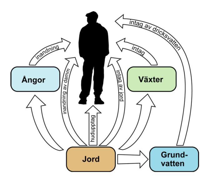 Uppdrag nr. Sida 8 (19) Figur 2: Knceptuell mdell, epnering människa. Figuren hämtad ur Naturvårdsverkets handbk 2010:1. Planerad markanvändning är bstadsmråde.