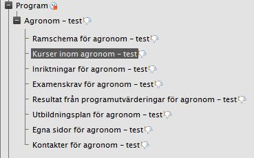 Mallar för programsidorna på studentwebben Ordning på sidorna I vänstermenyn kommer det se ut enligt nedan, observera att sidorna ska ha en unik rubrik där programmets namn ingår men att valen i