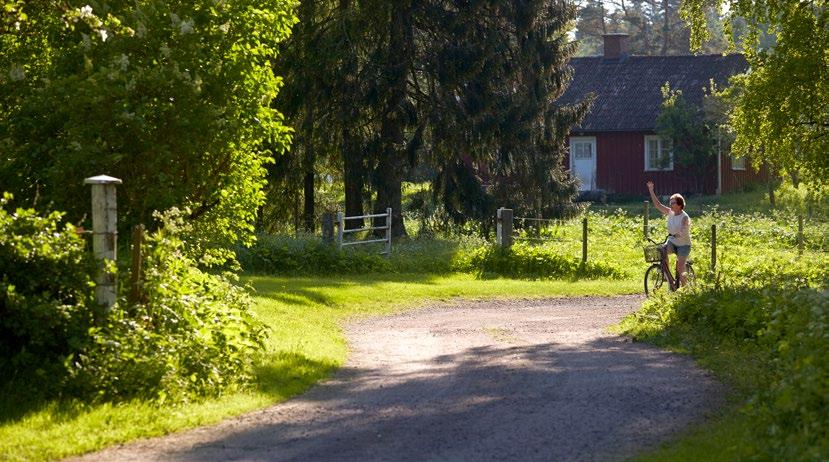 6 Resultaträkning och kassaflödesrapport Resultaträkning Kommunen Kommunkoncernen Utfall Utfall Budget Budget (mnkr) Not 2018 2017 2018 2017 2018 2017 Verksamhetens intäkter 1 1 001,2 983,8 1 731,7 1