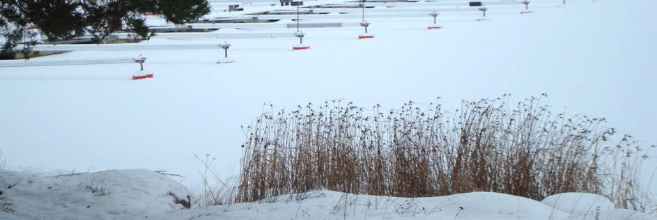 Vilka blir de stora frågorna för BSS under de närmast kommande åren där vi måste engagera oss? Vi väntar fortfarande på information från Norrköpings kommun om förslag till detaljplan för Lindöhamnen.