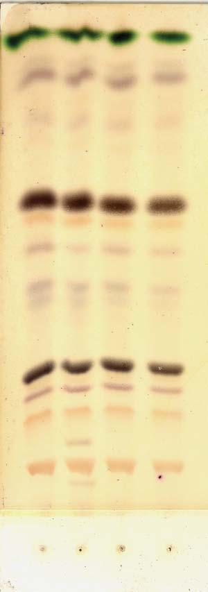 Supplemental Data Xu et al. (2008).