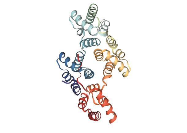 Bolaget i korthet Läkemedelskandidaten ANXV Bolaget utvecklar den biologiska läkemedelskandidaten ANXV som är ett rekombinant humant protein och bygger på det kroppsegna försvarsproteinet Annexin A5.