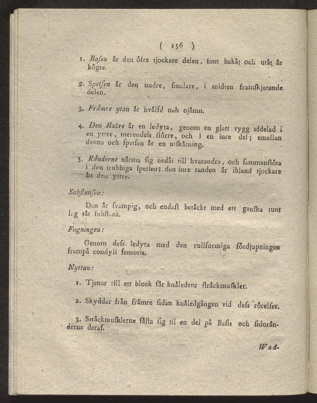 ( 15«) 1. Bafeti år den of re tjockare delen, fom bakåt och utåt år högre. 2. Spetfen ar den undre, fmalare, i midten framfkjutande dejen. 3. Främre ytan år hvålfd och ojåmn. 4.