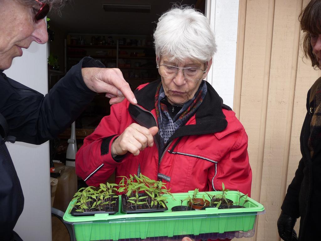 Framme i Kämpinge tog vi vägen genom skogen ända till Gyaområdets spång.