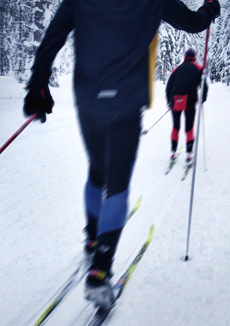 OMRÅDE FÖRSLAG ÖNSKAD UTVECKLING FÖRHÅLLNINGSSÄTT Bergsbyn Gunsenstråket Bevara för biologiskt skyddsvärda arter och som spridningsväg. Området ska skyddas på grund av skyddsvärda lövbiotoper.