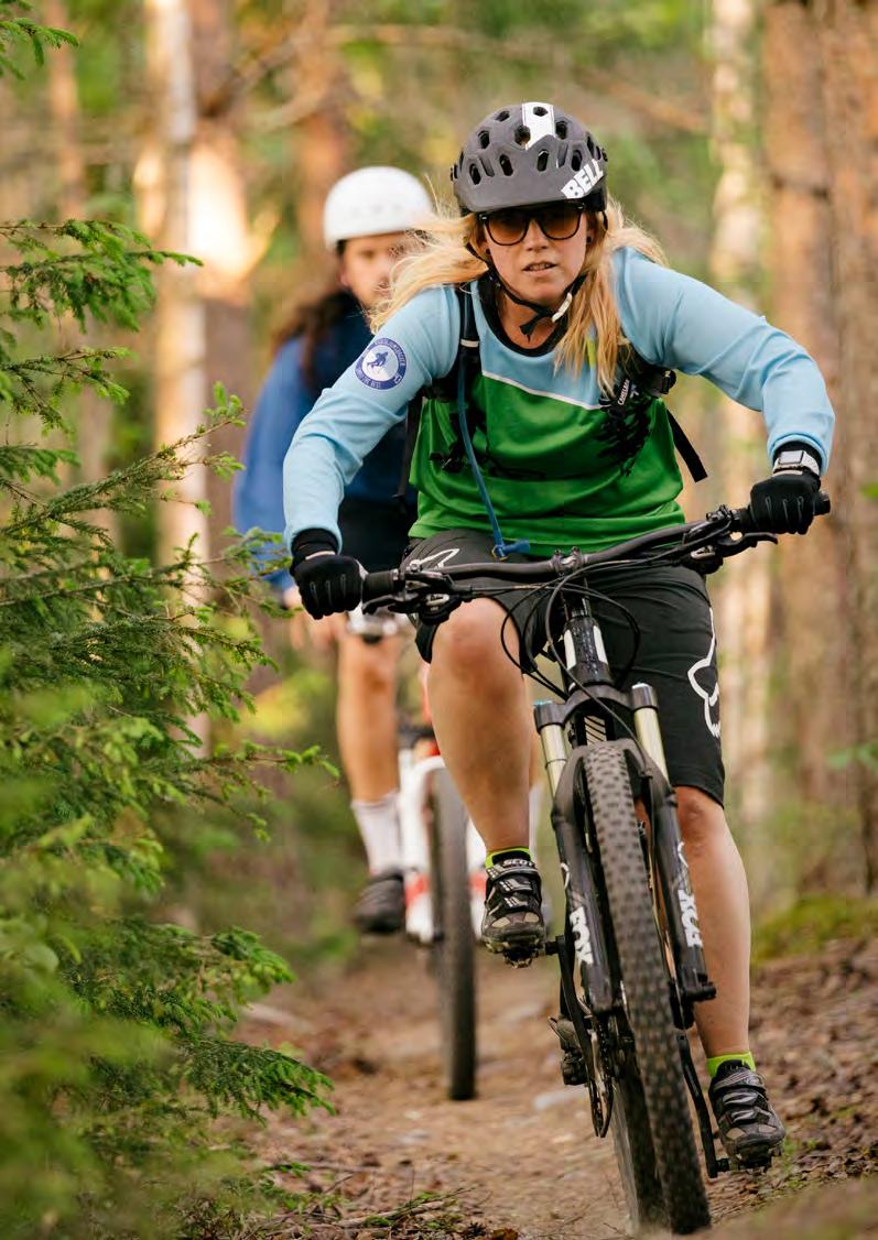 OMRÅDE FÖRSLAG ÖNSKAD UTVECKLING FÖRHÅLLNINGSSÄTT Orkestervägens närpark Bevara närpark Viktig för boende i flerbostadshusområdet. Här finns plats för spontanlek och området är viktigt för karaktären.