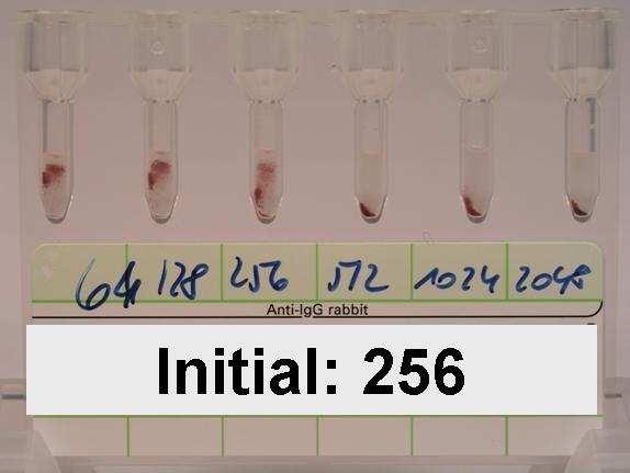 Iso-Titer