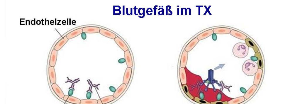 Das Problem der