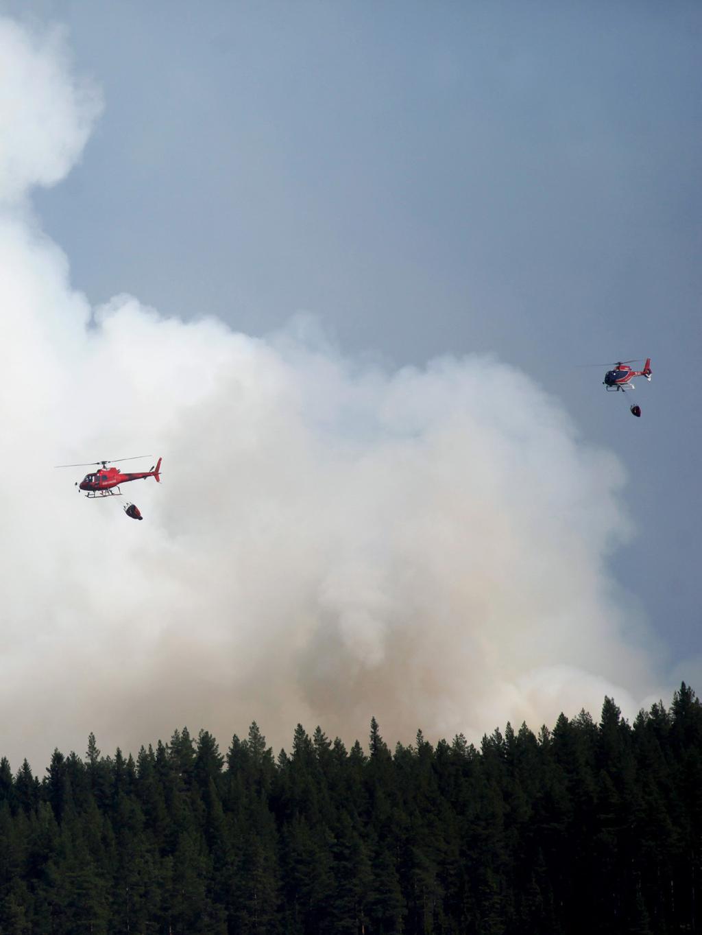 Det nordiska skogsbruket utmaningar i