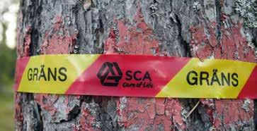 SCA etablerar sig i Hälsingland Europas största privata skogsägare, SCA, söker sig söderut med sin köpverksamhet.