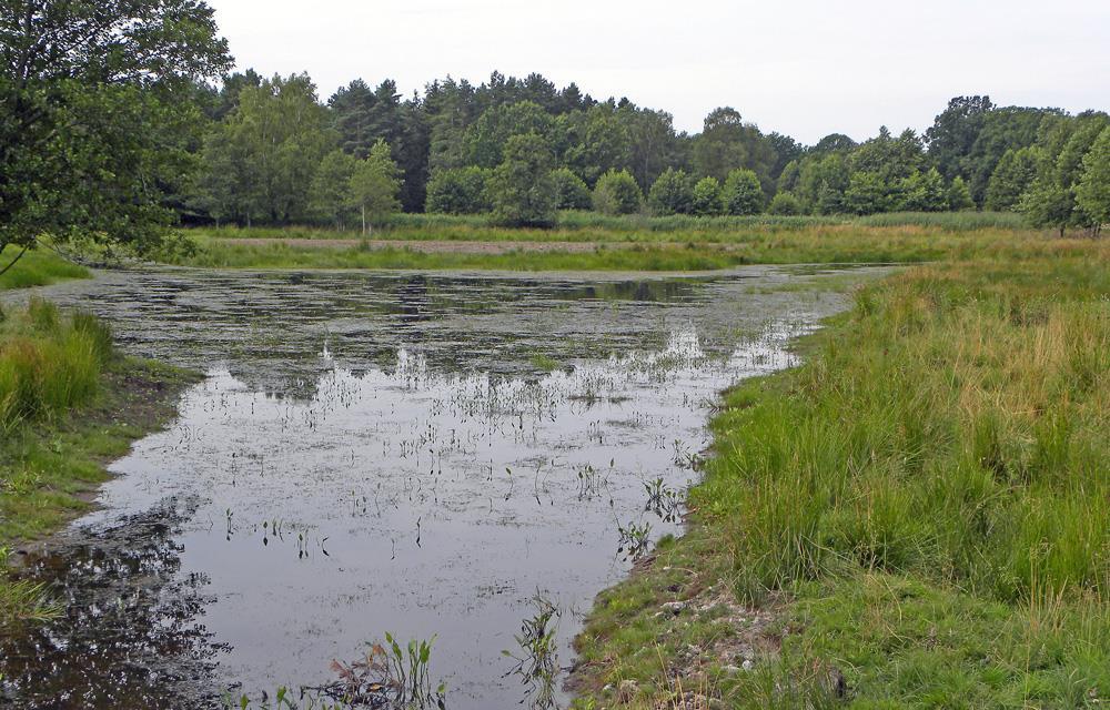 Modellering av effekten av våtmarker Återskapa effekten av försvunna våtmarker Ca 10 större våtmarksområden placeras