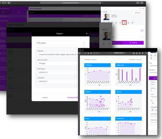SKAPA EN RAPPORT För att generera en hälsorapport för en patient klickar du på Rapport -ikonen i menyraden i