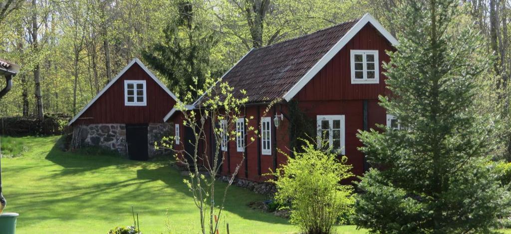 Stor stenkällare, eller källarbyggnad, och uthus i