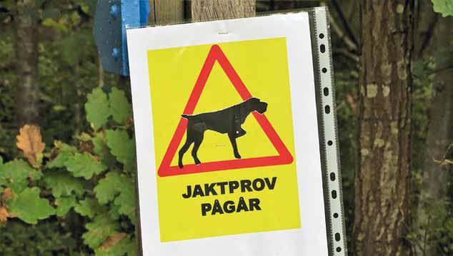 Den stora fördelen är att nu blir det lättare att hitta och mer översiktligt när både SVK och alla lokalavdelningar ligger i samma system.